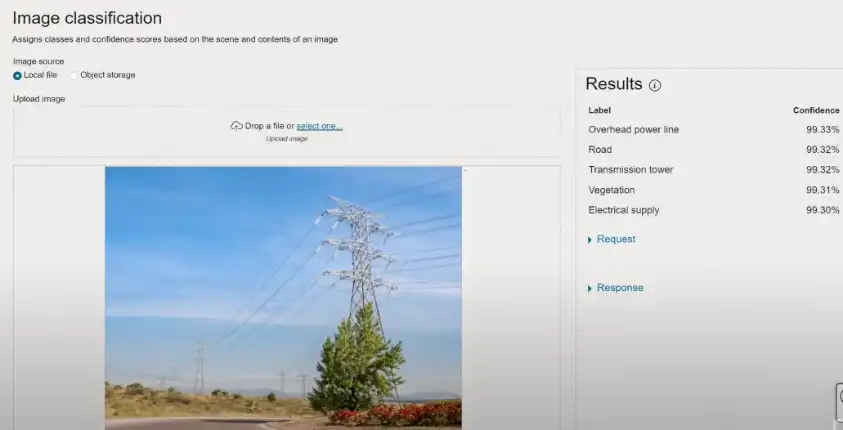 image of oracle AI vision panel