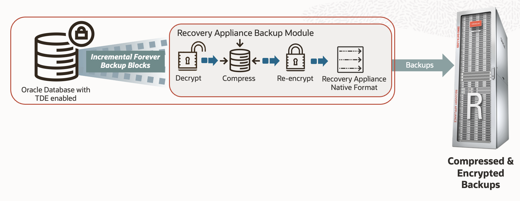 How Backup encyrption process works on RA 23.1